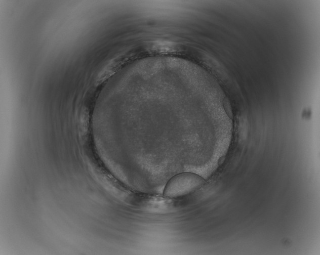 X0000112860760200909181801