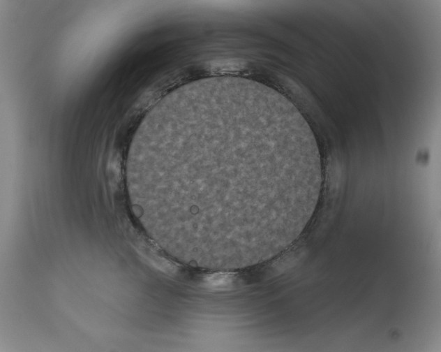 X0000112860761200909181801