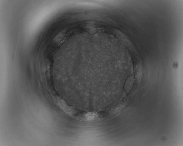 X0000112860762200909181801