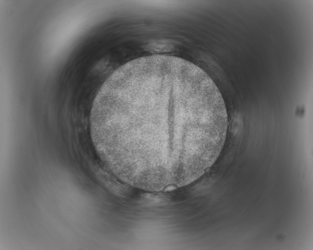 X0000112860763200909181801