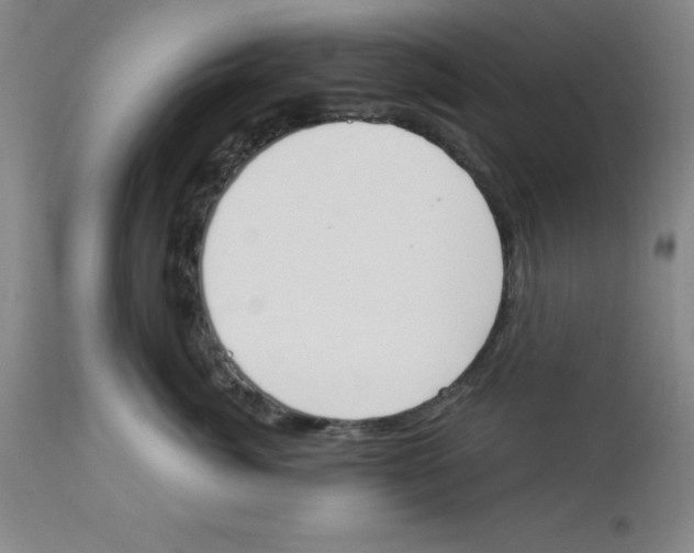 X0000112860764200909181801