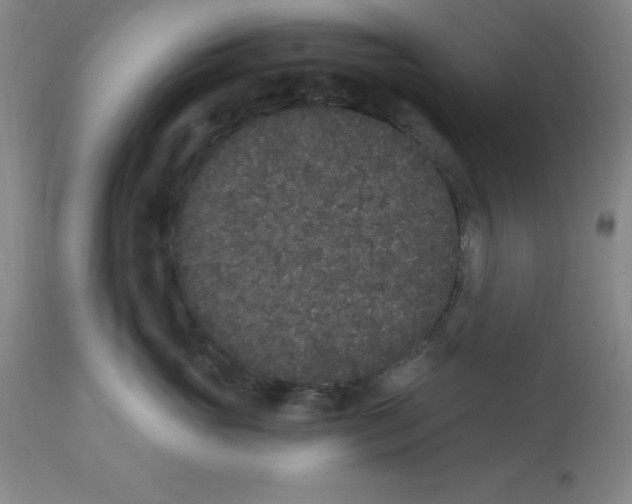 X0000112860765200909181801