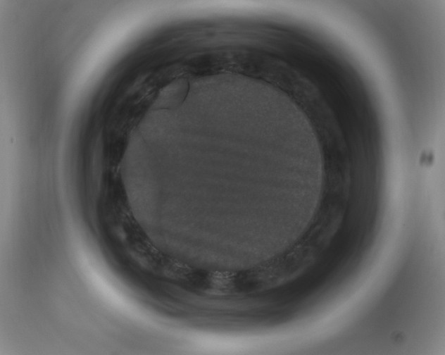 X0000112860766200909181801