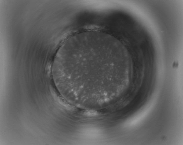 X0000112860767200909181801