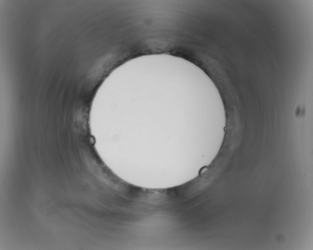 X0000112860768200909181801