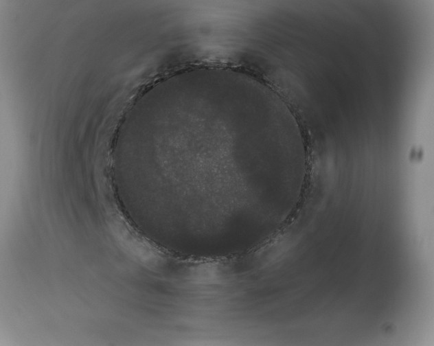 X0000112860769200909181800