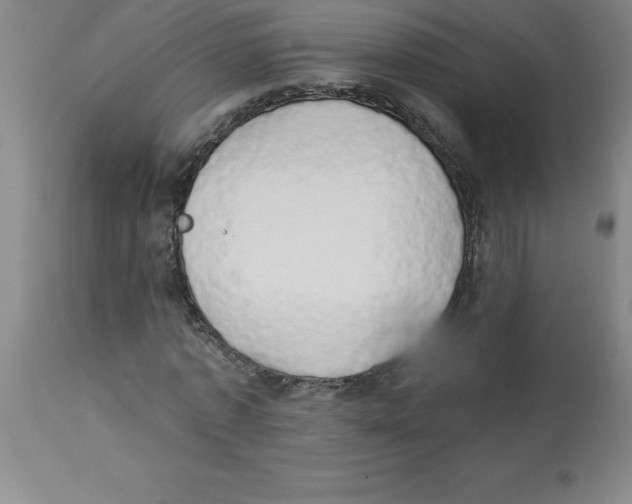 X0000112860773200909181800