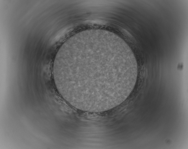 X0000112860774200909181800