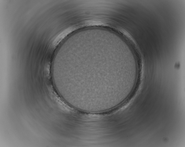 X0000112860777200909181800