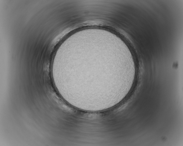 X0000112860778200909181800