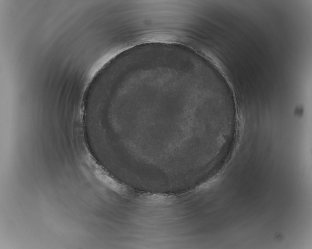 X0000112860779200909181800