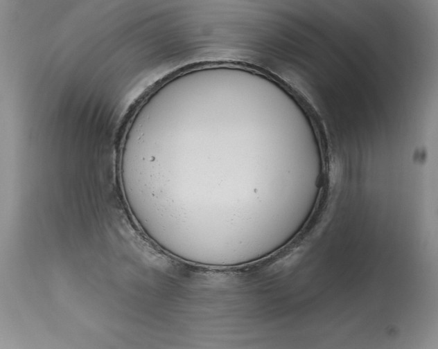 X0000112860781200909181800