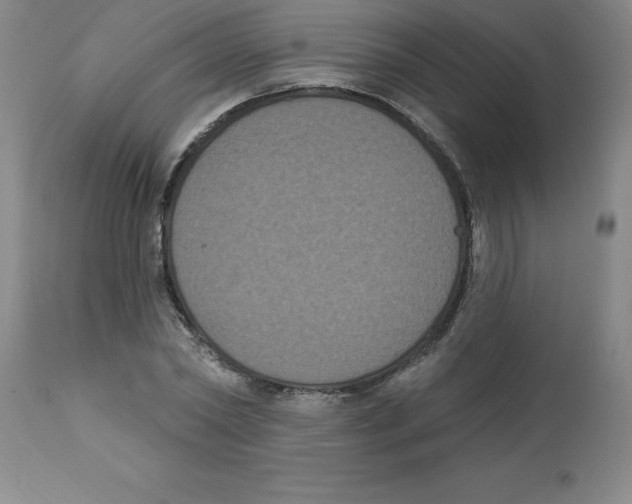 X0000112860782200909181800