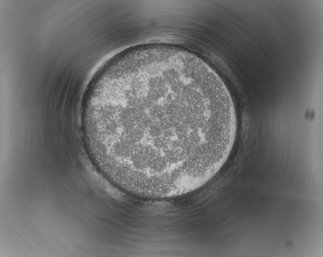 X0000112860784200909181800