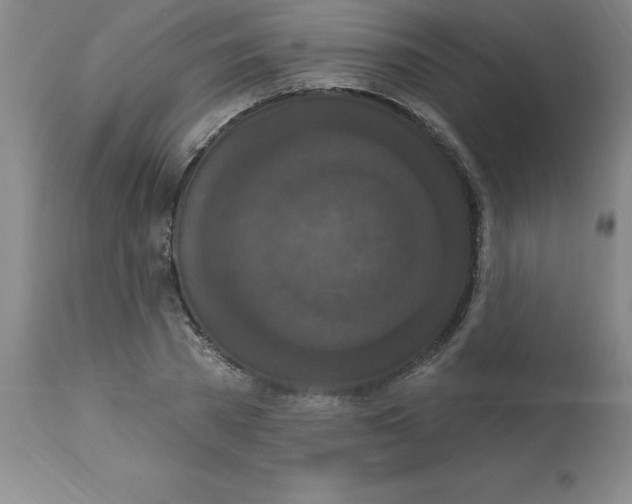 X0000112860785200909181800