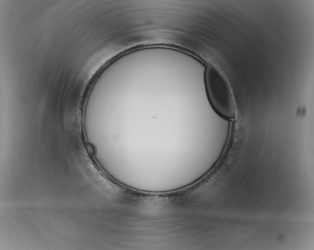 X0000112860789200909181800