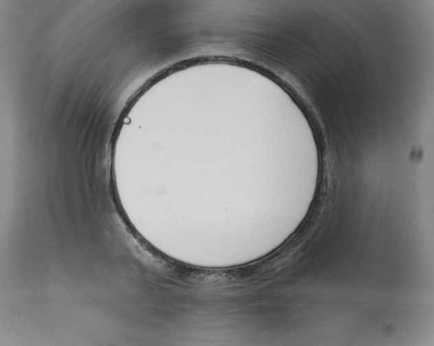 X0000112860791200909181800