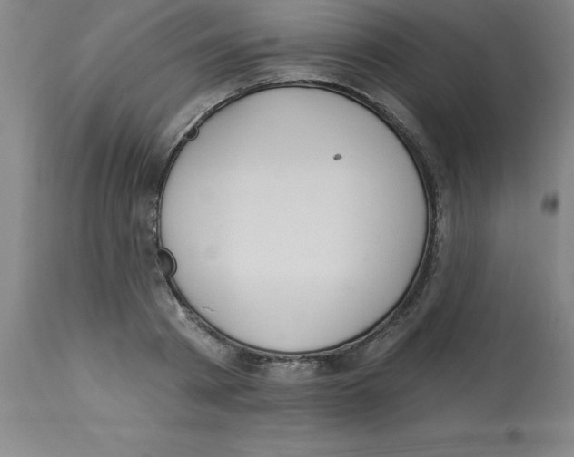 X0000112860793200909181800