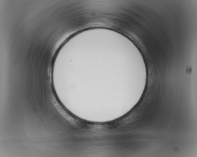 X0000112860796200909181800