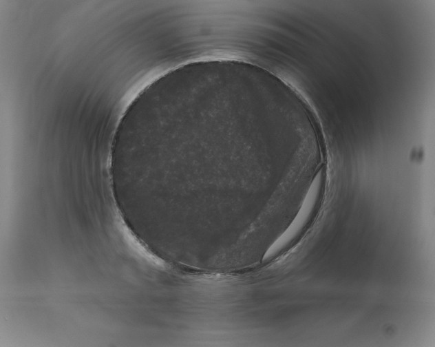 X0000112860797200909181800