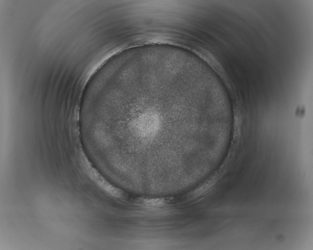 X0000112860798200909181800