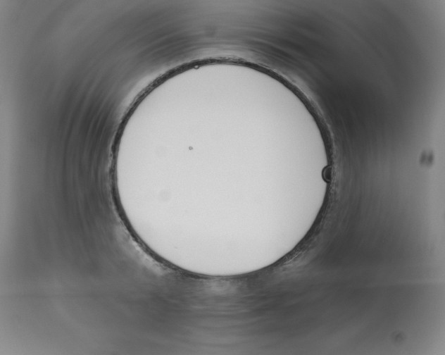 X0000112860799200909181759