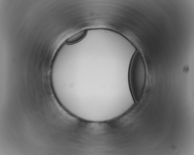 X0000112860805200909181759