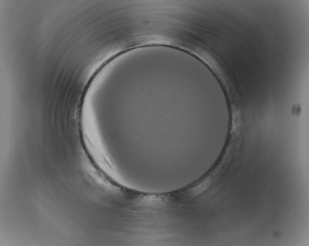 X0000112860806200909181759