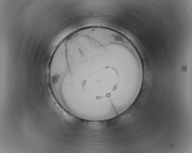 X0000112860807200909181759