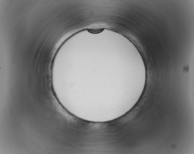 X0000112860808200909181759