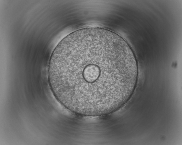 X0000112860810200909181759