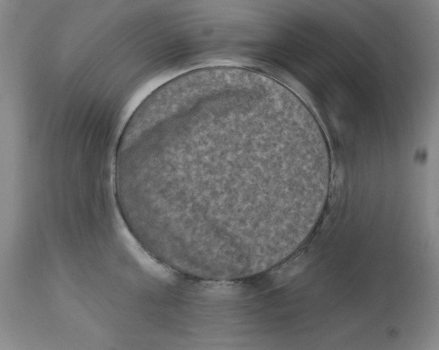 X0000112860811200909181759