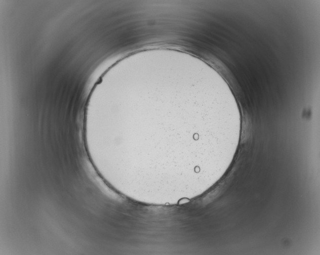 X0000112860812200909181759