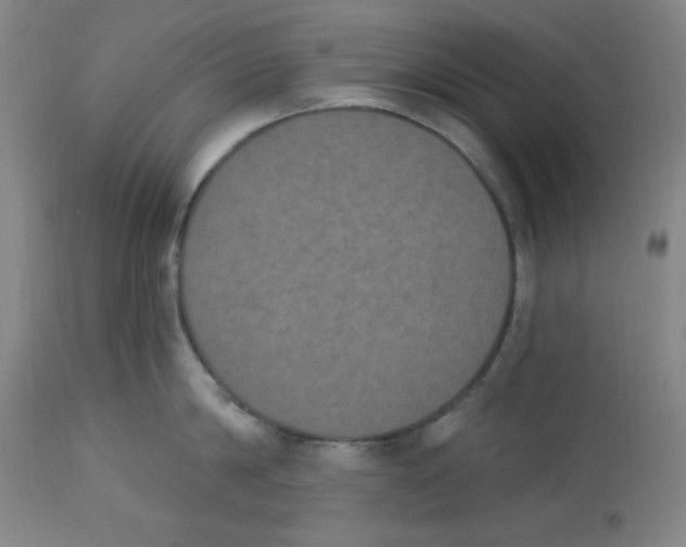 X0000112860814200909181759