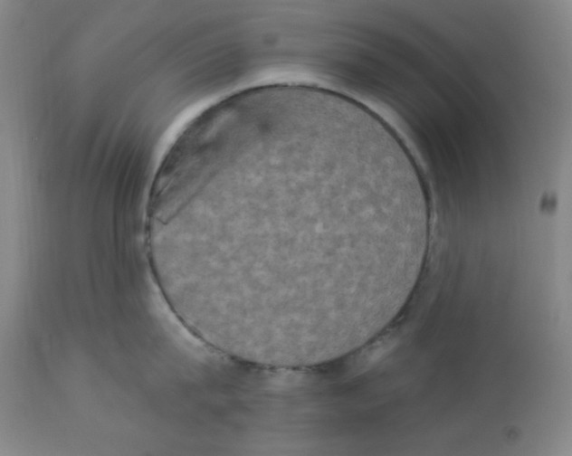 X0000112860815200909181759