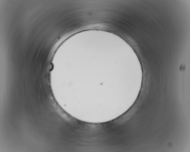 X0000112860816200909181759