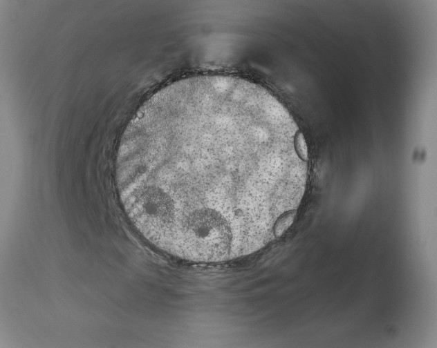 X0000112860817200909181759