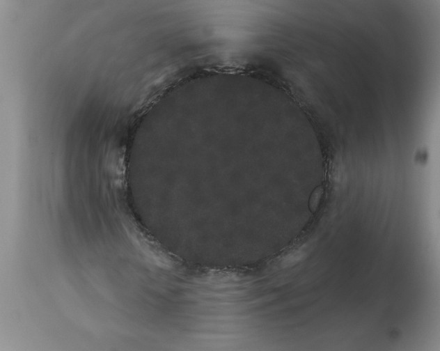 X0000112860818200909181759