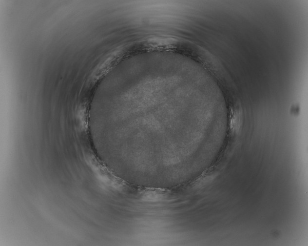 X0000112860819200909181759