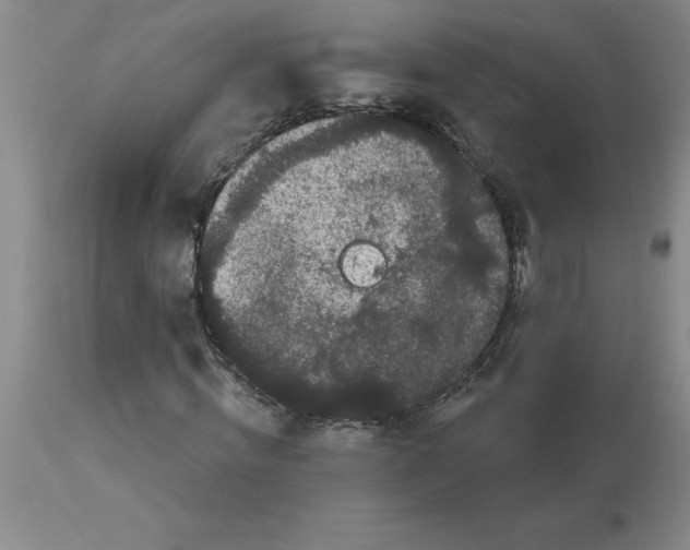 X0000112860820200909181759