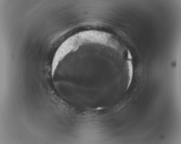 X0000112860822200909181759