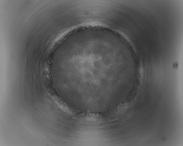 X0000112860823200909181759