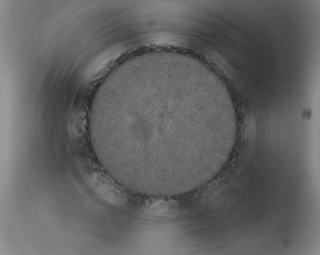 X0000112860824200909181759