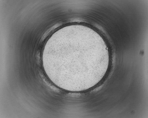 X0000112860825200909181759