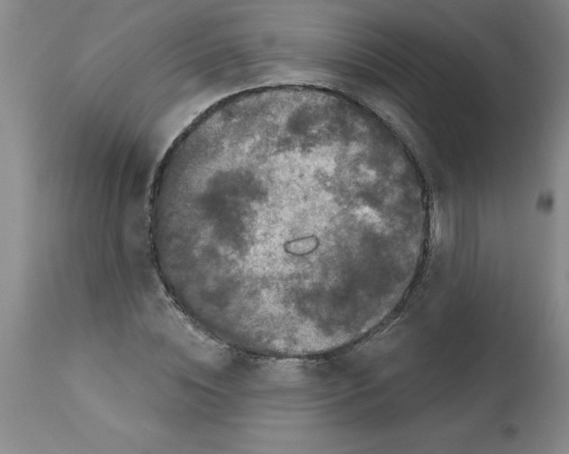 X0000112860828200909181759