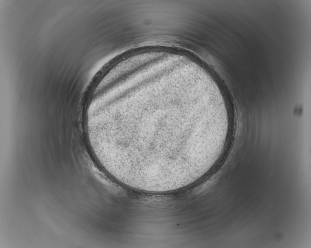 X0000112860830200909181759