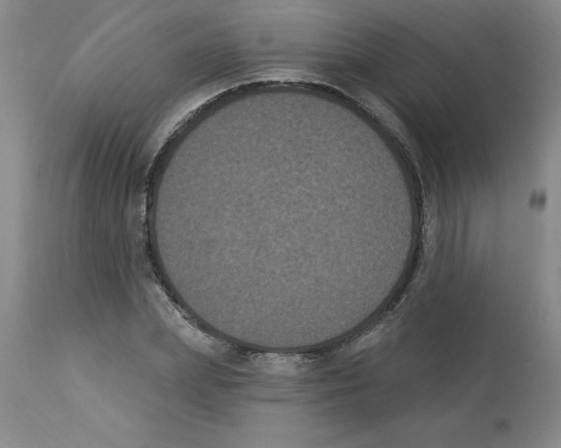 X0000112860831200909181759