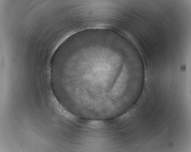 X0000112860835200909181759