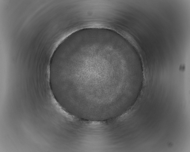 X0000112860839200909181759