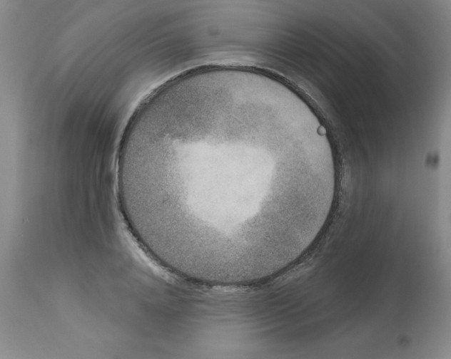 X0000112860840200909181759